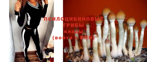 крисы Абаза