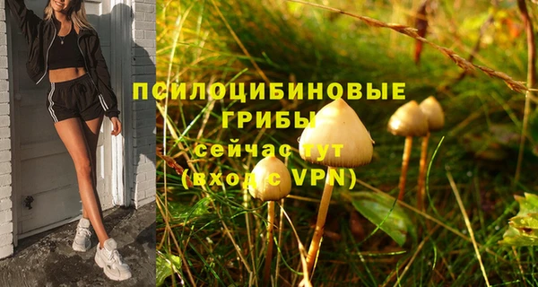 гидра Анжеро-Судженск