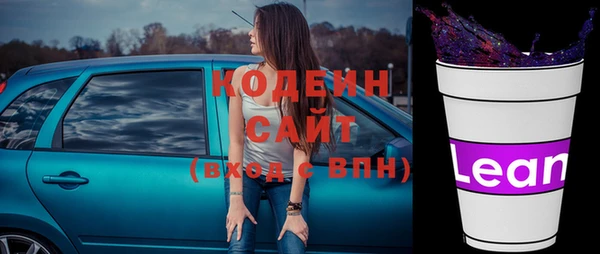крисы Абаза