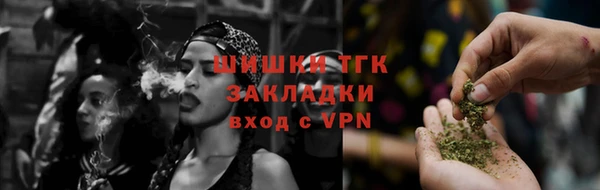 крисы Абаза