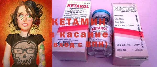 крисы Абаза