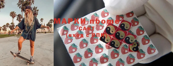 крисы Абаза