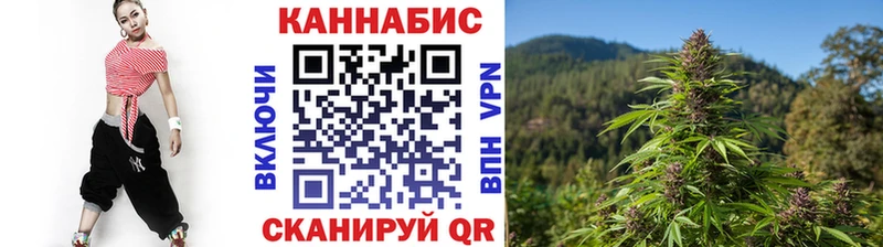 МАРИХУАНА планчик Кохма